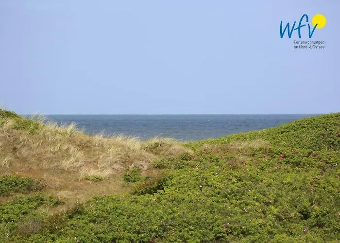 Bootshaus In Den Duenen - 4 